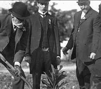 Arbour Day, 20 June 1889